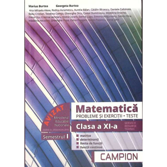 MATEMATICA. PROBLEME SI EXERCITII, TESTE. CLASA A XI-A, SEMESTRUL I