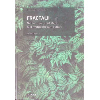 FRACTALII. NICI NORII NU SUNT SFERE, NICI MUNTII NU SUNT CONURI