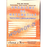 PROBLEME DE MATEMATICA - CLASA A X-A PROBLEME DE MATEMATICA - CLASA A X-A