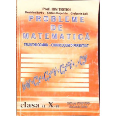 PROBLEME DE MATEMATICA - CLASA A X-A