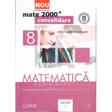MATEMATICA, ALGEBRA, GEOMETRIE. CLASA A VIII-A, PARTEA I
