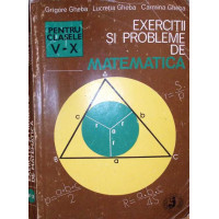 EXERCITII SI PROBLEME DE MATEMATICA PENTRU CLASELE V-IX EXERCITII SI PROBLEME DE MATEMATICA PENTRU CLASELE V-IX