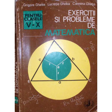 EXERCITII SI PROBLEME DE MATEMATICA PENTRU CLASELE V-IX