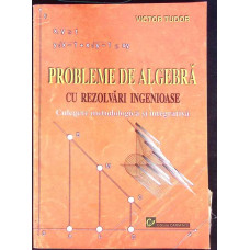 PROBLEME DE ALGEBRA CU REZOLVARI INGENIOASE - CULEGERE METODOLOGICA SI INTEGRATIVA