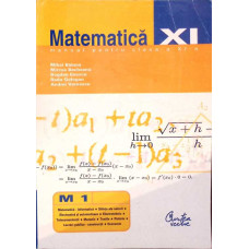 MATEMATICA, MANUAL PENTRU CLASA A XI-A (M1)