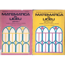 MATEMATICA IN LICEU PARTEA 1-2 CULEGERE DE ARTICOLE METODICE SI STIINTIFICE