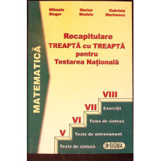 MATEMATICA, RECAPITULARE TREAPTA CU TREAPTA PENTRU TESTAREA NATIONALA