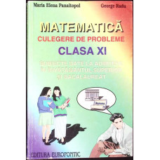MATEMATICA CULEGERE DE PROBLEME CLASA A XI-A
