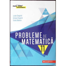 PROBLEME DE MATEMATICA, CLASA A XI-A