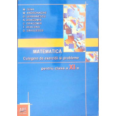 MATEMATICA: CULEGERE DE EXERCITII SI PROBLEME PENTRU CLASA A XI-A