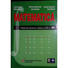 MATEMATICA MANUAL PENTRU CLASA A XII-A (M1)
