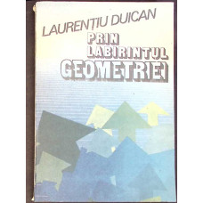 PRIN LABIRINTUL GEOMETRIEI