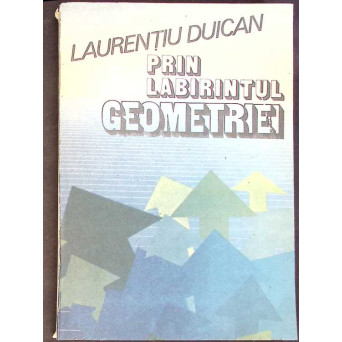 PRIN LABIRINTUL GEOMETRIEI