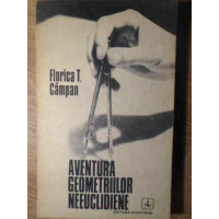 AVENTURA GEOMETRIILOR NEEUCLIDIENE AVENTURA GEOMETRIILOR NEEUCLIDIENE