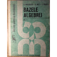 BAZELE ALGEBREI VOL.1 BAZELE ALGEBREI VOL.1