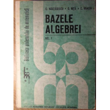 BAZELE ALGEBREI VOL.1