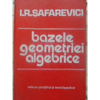 BAZELE GEOMETRIEI ALGEBRICE BAZELE GEOMETRIEI ALGEBRICE
