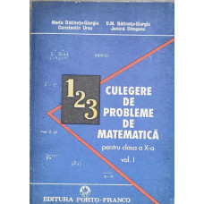 CULEGERE DE PROBLEME DE MATEMATICA PENTRU CLASA A X-A VOL.1