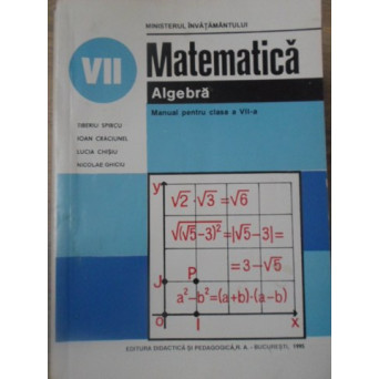 MATEMATICA ALGEBRA MANUAL PENTRU CLASA A VII-A
