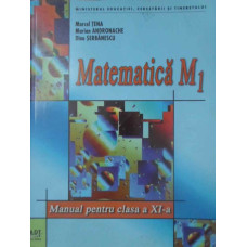 MATEMATICA M1 MANUAL PENTRU CLASA A XI-A