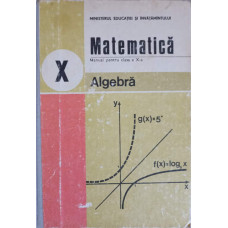 MATEMATICA. MANUAL PENTRU CLASA A X-A. ALGEBRA