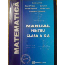 MATEMATICA MANUAL PENTRU CLASA A X-A M1