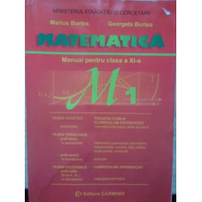 MATEMATICA MANUAL PENTRU CLASA A XI-A, M1