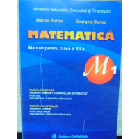 MATEMATICA. MANUAL PENTRU CLASA A XII-A, M1