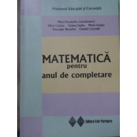 MATEMATICA PENTRU ANUL DE COMPLETARE MATEMATICA PENTRU ANUL DE COMPLETARE