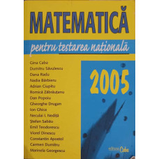 MATEMATICA PENTRU TESTAREA NATIONALA 2005
