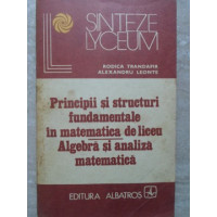 PRINCIPII SI STRUCTURI FUNDAMENTALE IN MATEMATICA DE LICEU. ALGEBRA SI ANALIZA MATEMATICA PRINCIPII SI STRUCTURI FUNDAMENTALE IN MATEMATICA DE LICEU. ALGEBRA SI ANALIZA MATEMATICA