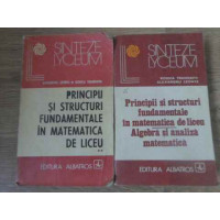 PRINCIPII SI STRUCTURI FUNDAMENTALE IN MATEMATICA DE LICEU ALGEBRA SI ANALIZA MATEMATICA VOL.1-2