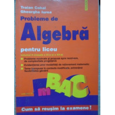 PROBLEME DE ALGEBRA PENTRU LICEU VOL.2 (CLASELE A XI-A SI A XII-A)
