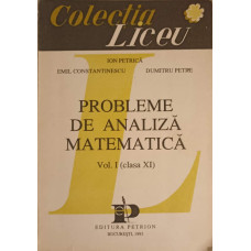 PROBLEME DE ANALIZA MATEMATICA VOL.1 CLASA XI