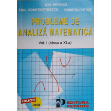 PROBLEME DE ANALIZA MATEMATICA VOL.I CLASA A XI-A