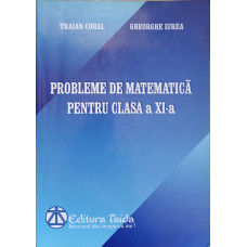 PROBLEME DE MATEMATICA PENTRU CLASA A XI-A