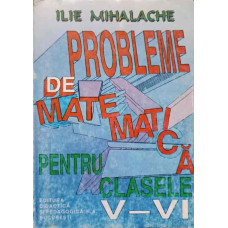 PROBLEME DE MATEMATICA PENTRU CLASELE V-VI