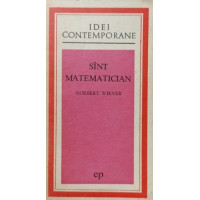 SINT MATEMATICIAN SINT MATEMATICIAN