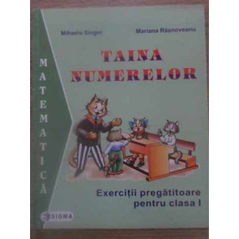 TAINA NUMERELOR EXERCITII PREGATITOARE PENTRU CLASA I. MATEMATICA