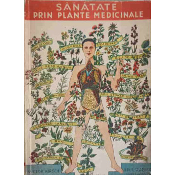 SANATATE PRIN PLANTE MEDICINALE. IMPORTANTA SI VALOAREA PLANTELOR MEDICINALE IN LUPTA PENTRU SANATATEA OMULUI