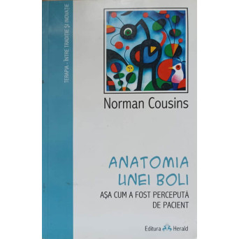 ANATOMIA UNEI BOLI. ASA CUM A FOST PERCEPUTA DE PACIENT