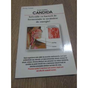 CUM TRATAM CANDIDA. INFECTIILE CU BACTERII DE FERMENTATIE TE SECATUIESC DE ENERGIE?