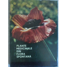 PLANTE MEDICINALE DIN FLORA SPONTANA
