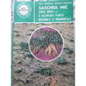 SASCHIUL MIC (VINCA MINOR L.) O VALOROASA PLANTA MEDICINALA SI ORNAMENTALA