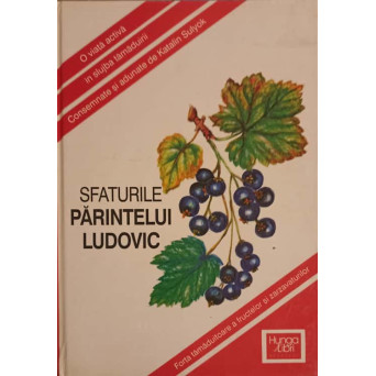 SFATURILE PARINTELUI LUDOVIC. O VIATA ACTIVA IN SLUJBA TAMADUIRII