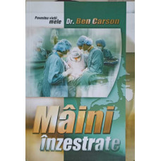 MAINI INZESTRATE