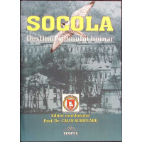 SOCOLA DESTINUL SOIMULUI HOINAR SOCOLA DESTINUL SOIMULUI HOINAR
