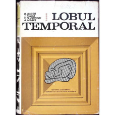 LOBUL TEMPORAL