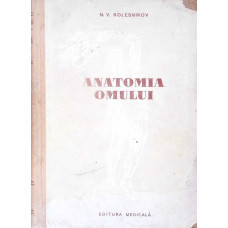 ANATOMIA OMULUI ANATOMIA OMULUI