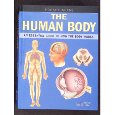 THE HUMAN BODY
